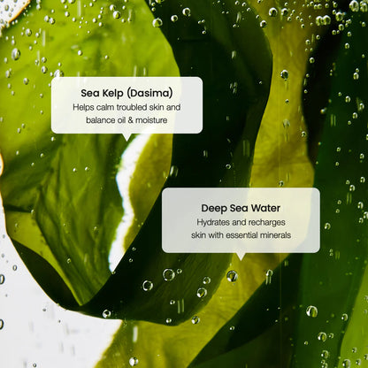 BIODANCE - Refreshing Sea Kelp Serum