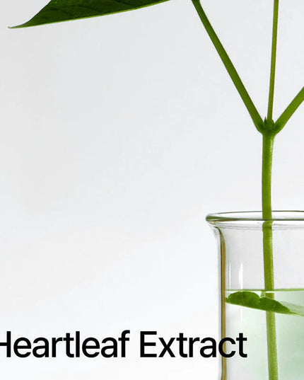 Heartleaf Pore Control Cleansing Oil