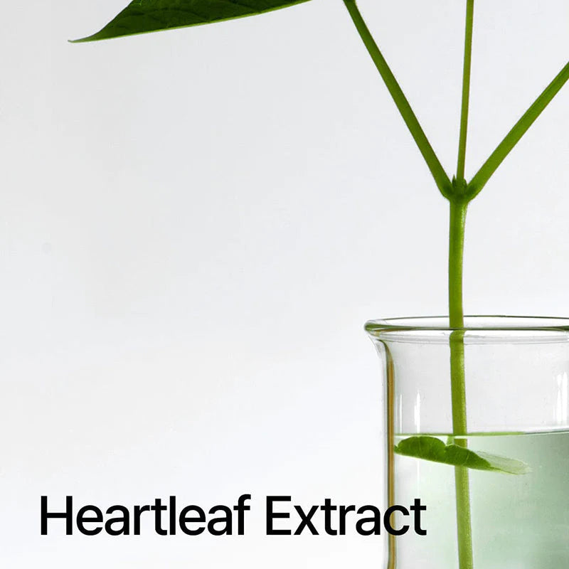 Anua Heartleaf Pore Control Cleansing Oil 200ml